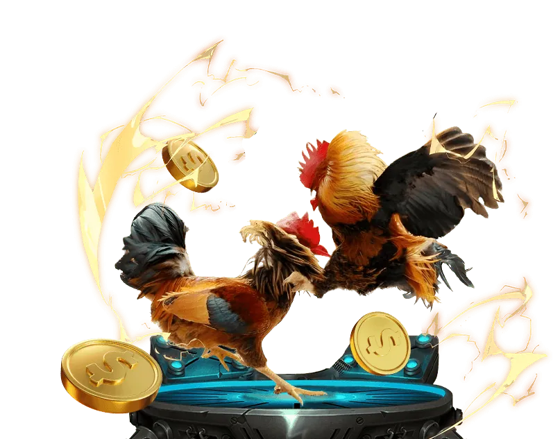 Giới thiệu nền tảng cá cược kk win